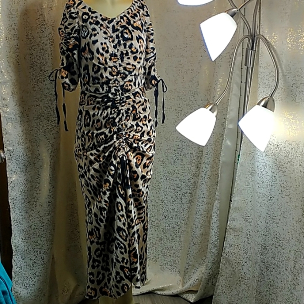 Animal Print Midi